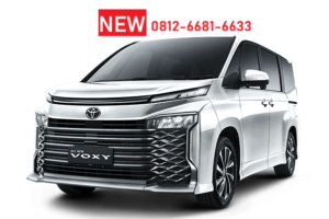 VOXY