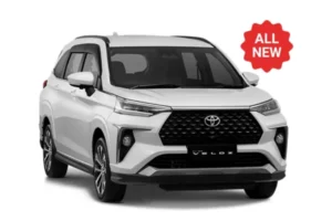 NEW ALL VELOZ HYBRID