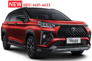 NEW ALL VELOZ HYBRID